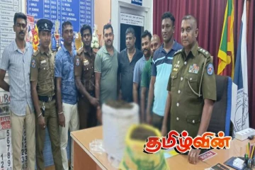 யாழில் இராணுவ தகவலின் அடிப்படையில் 28 கஞ்சா மீட்பு