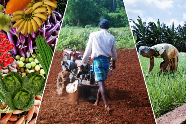 விவசாய அமைச்சின் நடைபெற்ற விவசாயத் துறை நவீனமயமாக்கல் நிகழ்ச்சி | A Modernizing Agriculture Sector