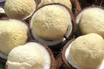 தேங்காய் பூ சாப்பிடுவதால் இவ்வளவு நன்மைகளா?