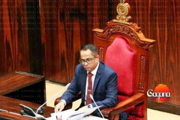 පාර්ලිමේන්තු විශ්‍රාම වැටුප් ඉවත් කිරීමේ පනත් කෙටුම්පත ගැන තීරණය කුමක් වෙයිද?