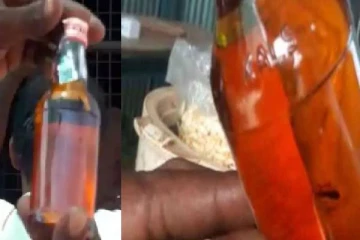 என்னது தவளையா யாரு பாத்த வேலை இது ? - மதுபாட்டிலில் இறந்துகிடந்த தவளை கடுப்பான மதுப்பிரியர்கள்