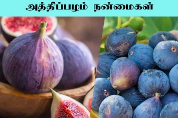 Fig Fruit: தினசரி 2 அத்திப்பழம் சாப்பிடுவதால் கிடைக்கும் நன்மைகள்