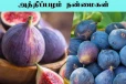 Fig Fruit: தினசரி 2 அத்திப்பழம் சாப்பிடுவதால் கிடைக்கும் நன்மைகள்