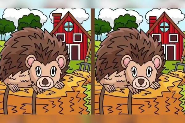 11 வினாடிகளில் 3 வேறுபாட்டை கண்டுபிடிக்க முடியுமா? | Optical Illusion Spot The 3 Differences