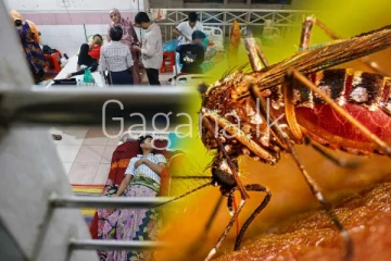 දිස්ත්‍රික්ක 7ක ඩෙංගු රෝගීන්ගේ ඉහළ යෑමක්. - ඩෙංගු මර්දන ඒකකයේ අනතුරු අඟවයි.