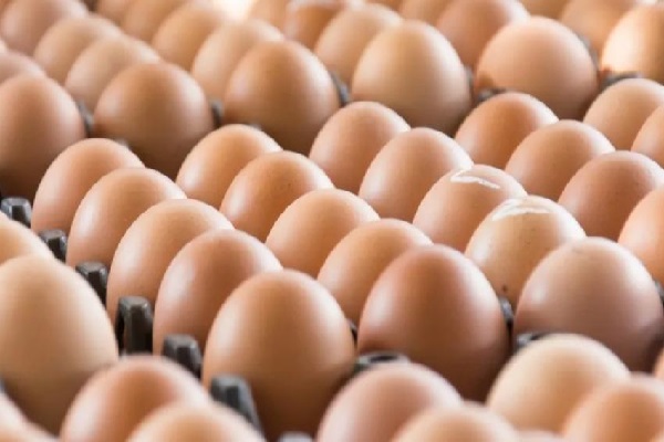 இறக்குமதி செய்யப்படும் முட்டைக்கான விலை அறிவிப்பு | Eggs From Today Price Also Announced