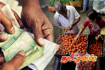 மரக்கறிகளின் விலையில் சடுதியான மாற்றம்