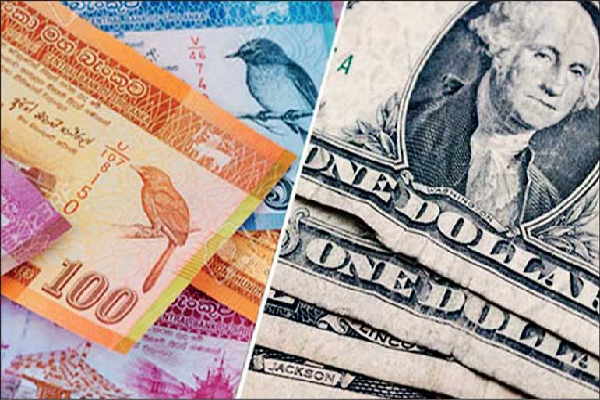 டொலரின் இன்றைய பெறுமதி! மத்திய வங்கி வெளியிட்ட அறிவித்தல் - ஐபிசி தமிழ்