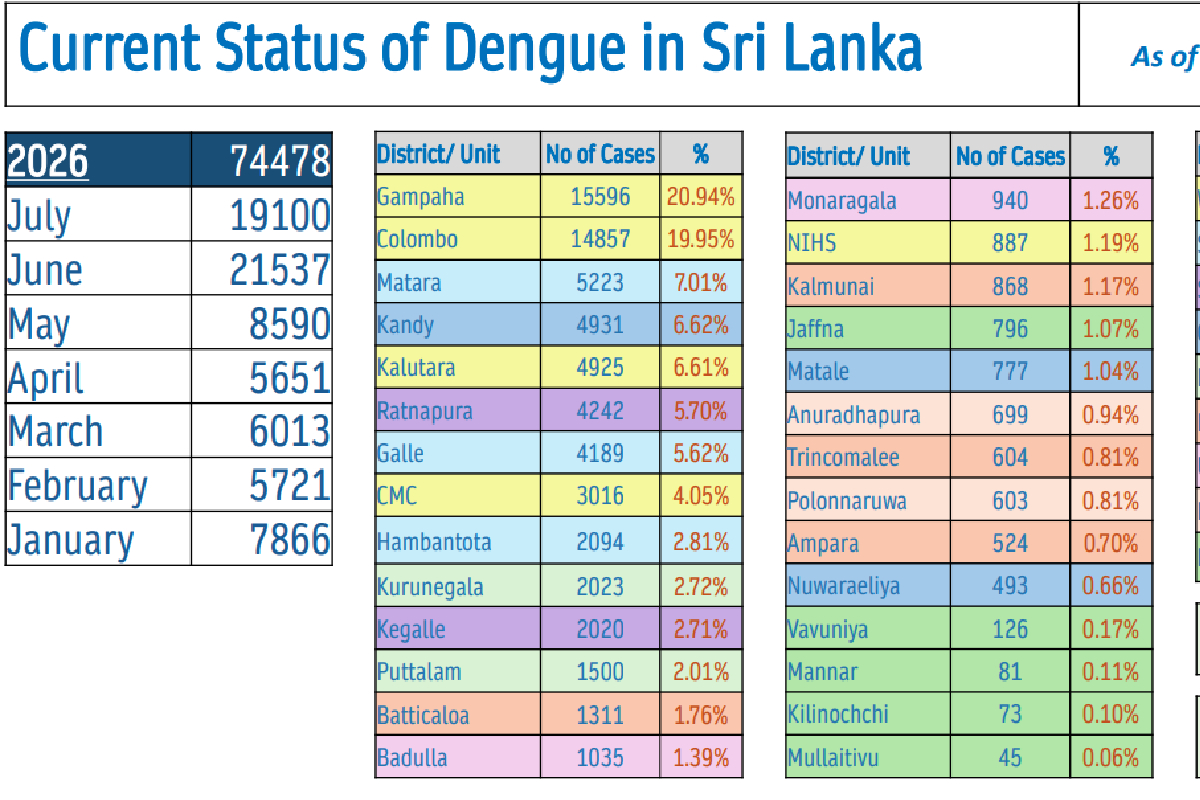 டெங்கு உயிரிழப்பு 53 ஆக அதிகரிப்பு! 74 ஆயிரத்துக்கும் மேற்பட்டோர் பாதிப்பு | Dengue Death Toll Rises To 53