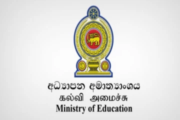 பல்கலைக்கழக பணியிட வெற்றிடங்களை விரைவாக நிரப்ப நடவடிக்கை