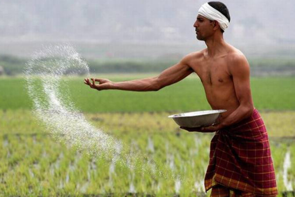 விவசாயிகளுக்கு அரசு வெளியிட்ட மகிழ்ச்சி தகவல் | Fertilizer Subsidy For Farmers In A Digital System