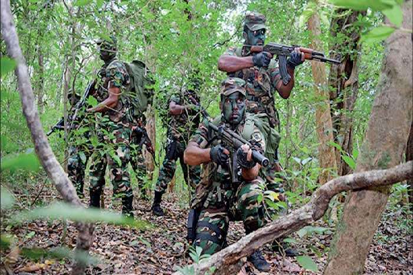 கிழக்கில் தமிழர் இனவழிப்பு:காணாமல் போன அம்பாறை வயலூர் கிராமம் | Tamil Genocide East Missing Village Ampara Vayalur