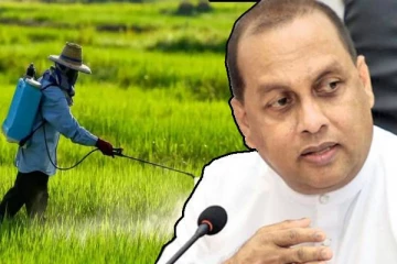 தடை செய்யப்பட்ட பூச்சிக் கொல்லிகள்! அமைச்சரின் பணிப்புரை