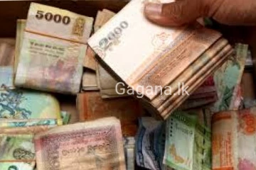ශ්‍රී ලංකා මහ බැංකුව රුපියල් බිලියන 80ක් ගිනි තබා විනාශ කරයි..