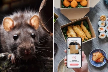 ஆன்லைன் உணவு ஆர்டரில் இறந்து கிடந்த எலி: 75 மணி நேரம் அவதிக்குள்ளான இளைஞர்!