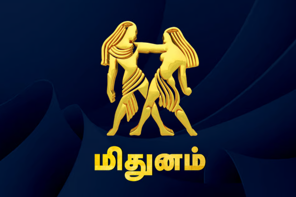 சுக்கிரனால் உருவாகும் மாளவ்ய ராஜயோகம் ; டபுள் ஜாக்பாட் அடிக்கப்போகும் ராசிக்காரர்கள் | Astrology Sukra Raja Yogam Double Jokbat Rasi