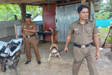 போதைப்பொருளை கட்டுப்படுத்த மோப்ப நாயின் துணையுடன் பொலிஸார் விசேட சோதனை (Video)