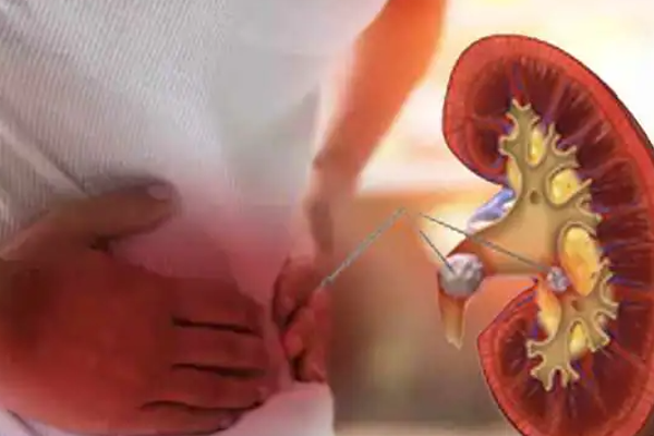 எச்சரிக்கை; இந்த நோயுள்ளவர்களுக்கு தக்காளி விசமாகுமாம்! | Tomatoes Health Tips