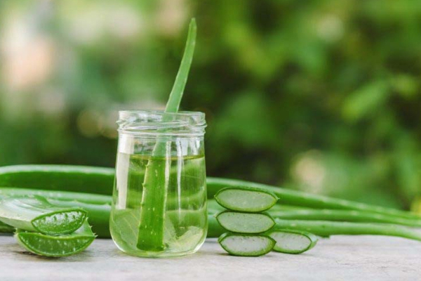 நீரிழிவை கட்டுப்படுத்த இந்த பானங்களை குடிச்சி பாருங்க | Drink These Drinks To Control Diabetes