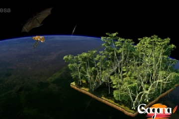 පෘථිවියේ හුස්ම රකින්න ඉහළට ගිය අලුත් ආරක්ෂකයා....