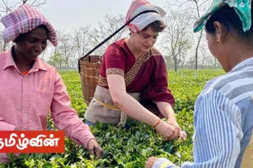 தேயிலை தொழிலாளியாக மாறிய பிரியங்கா காந்தி!