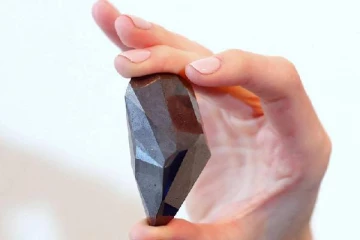 பல கோடி ரூபாய் ஏலம் போன பழமையான கருப்பு வைரம்