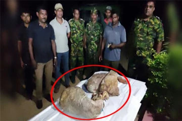 23 கோடி ரூபா பெறுமதியான அதிர்ஷ்டத்துடன் சிக்கிய கடற்றொழிலாளர்கள்