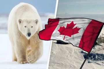 கனடாவில் இடம்பெற்ற அசாதாரண நிகழ்வு: துருவக் கரடிகள் தாக்கி ஒருவர் பலி!