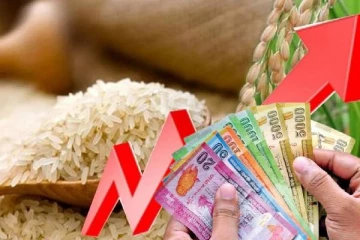 நாட்டரிசிக்கான கட்டுப்பாட்டு விலை குறித்து விடுக்கப்பட்டுள்ள கோரிக்கை