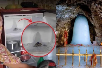 Fridgeல் சிவலிங்கம்: படையெடுக்கும் மக்கள் கூட்டம்