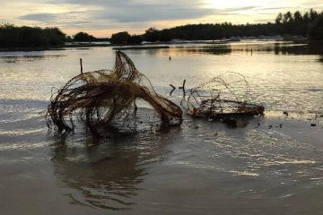 திருகோணமலை கடற்பரப்பில் நங்கூரமிடும் சர்வதேச கப்பல்கள்!மீனவர்கள் விசனம்