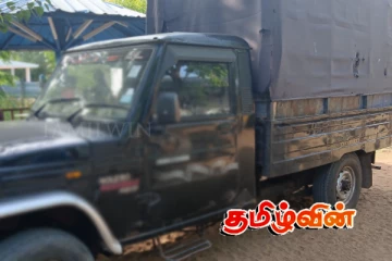 முல்லைத்தீவில் அனுமதியின்றி காட்டு தடிகளை கொண்டு சென்றவர் கைது