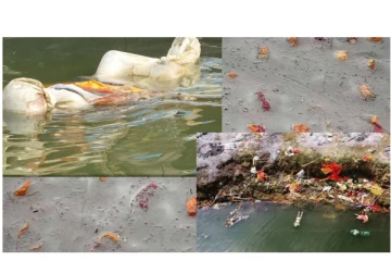 கங்கையில் மிதந்த கொரோனா சடலங்கள்? - எண்ணிக்கை எத்தனை? - மாநிலங்களவையில் பதில் சொல்லாத ஒன்றிய அரசு!