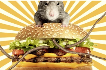 பர்கரில் எலி கழிவு, அதிர்ச்சியடைந்த பெண் - மெக் டொனால்ட்ஸ்கு ரூ.5 கோடி அபராதம்!