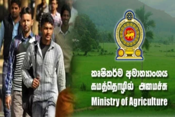 வேலைவாய்ப்பற்ற இளைஞர்களுக்கு மகிழ்ச்சியான செய்தி