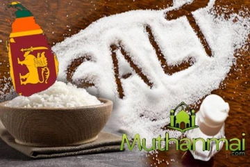 உப்பு இறக்குமதிக்கு அமைச்சரவை அனுமதி:வெளியான அறிவிப்பு