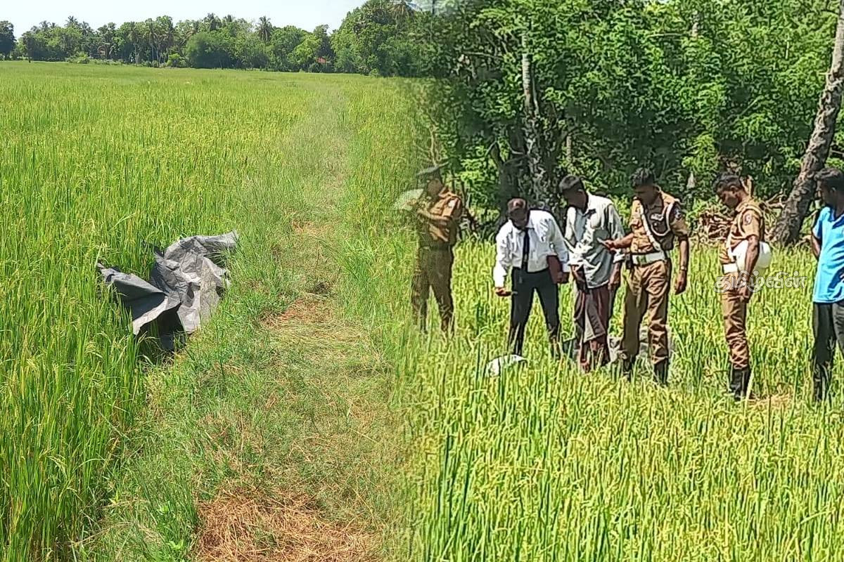 தமிழர் பகுதியில் வயல் நிலத்துக்குள் சடலமாக கிடந்த குடும்பஸ்தர் - உறவினர்கள் கொடுத்த வாக்குமூலம் | Body Of 58 Year Old Man Recovered In Batticaloa தமிழர் பகுதியில் வயல் நிலத்துக்குள் சடலமாக கிடந்த குடும்பஸ்தர் - உறவினர்கள் கொடுத்த வாக்குமூலம் | Body Of 58 Year Old Man Recovered In Batticaloa