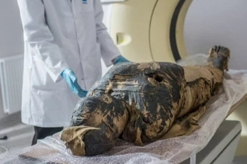 உலகின் முதல் கர்ப்பிணி மம்மி கண்டுபிடிப்பு; எங்கு தெரியுமா?