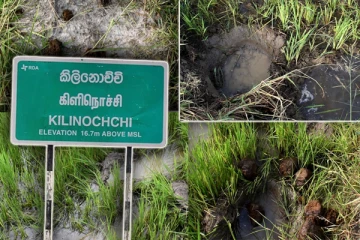 கிளிநொச்சியில் காட்டு யானைகளின் அட்டகாசம்: விவசாயிகள் கவலை