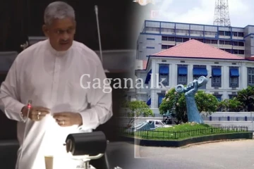 ටෙලිකොම් විකුණන්න යන එල්ටීටීඊ සාමාජිකයා ගැන සරත් ෆොන්සේකාගෙන් අනාවරණයක්.(VIDEO)