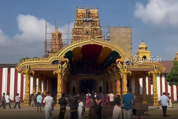 நாடளாவிய ரீதியில் சிறப்பாகக் கொண்டாடப்பட்ட பொங்கல் திருநாள் | Thai Pongal Festival In Sri Lanka