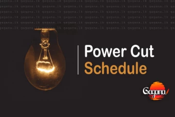 විදුලිය ඇනහිටීම් සම්බන්ධයෙන් ජනතාවට විශේෂ දැනුම්දීමක්