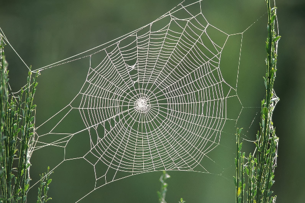 இதெல்லாம் உங்கள் வீட்டில் இருந்தால் துரதிஷ்டம் ஏற்படுமாம் ; உடனே அகற்றி விடுங்கள் | Having These Items In Your Home Can Bring Bad Luck இதெல்லாம் உங்கள் வீட்டில் இருந்தால் துரதிஷ்டம் ஏற்படுமாம் ; உடனே அகற்றி விடுங்கள் | Having These Items In Your Home Can Bring Bad Luck