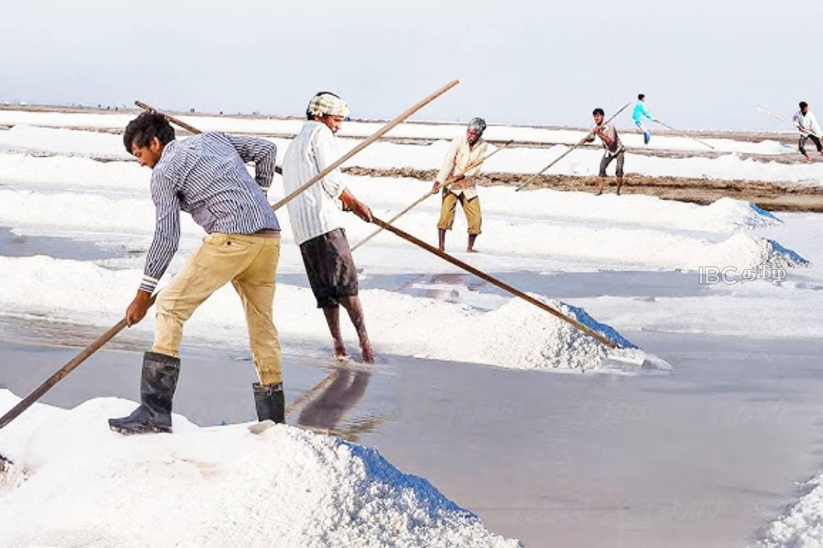 அம்பாந்தோட்டையில் உப்பு அறுவடை உத்தியோகபூர்வமாக ஆரம்பம் | Salt Harvest Begins In Hambantota
