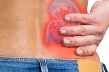 சிறுநீரக கல்லை எளிய முறையில் கரைக்க வேண்டுமா?  இதோ அருமையான சித்த மருத்துவம்!