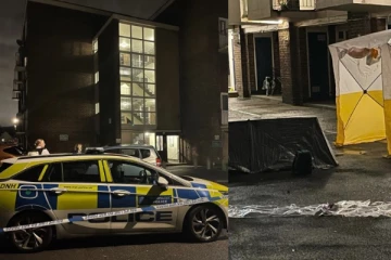 ஒரே இரவில் லண்டன் நகரை மொத்தமாக உலுக்கிய சம்பவம்: பொதுமக்கள் உதவியை நாடிய அதிகாரிகள்