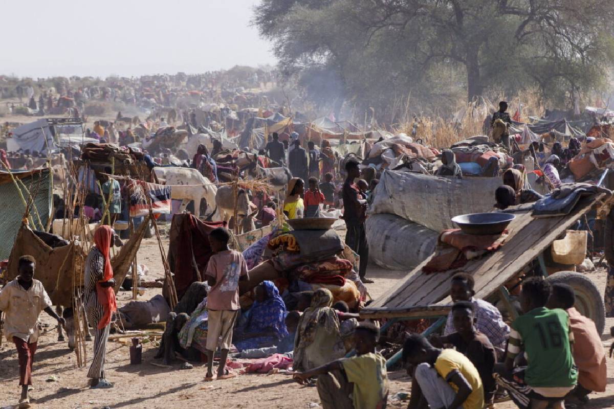 போரினால் ஏற்பட்டுள்ள பஞ்சம் - இலைதழைகளை உண்டு வாழும் மக்கள் | Sudan People Eat Leaves Grass In Hungry Due To War