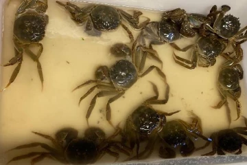 சுவிஸ் எல்லையில் சிக்கிய நபர்... 50,000 யூரோ அபராதம் விதிக்க வாய்ப்பு