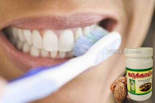 தினமும் இரவில் கடுக்காய் தூள் சாப்பிடுவதால் கிடைக்கும் நன்மைகள் | Benefits Of Consuming Mustard Powder Every Night