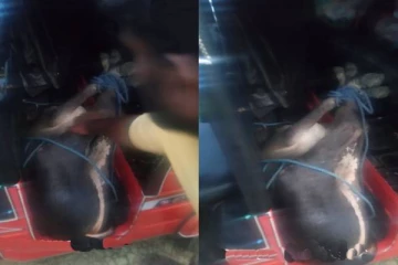 பொலிஸாருக்கு கிடைத்த இரகசிய தகவல்: வசமாக சிக்கிய நபர்